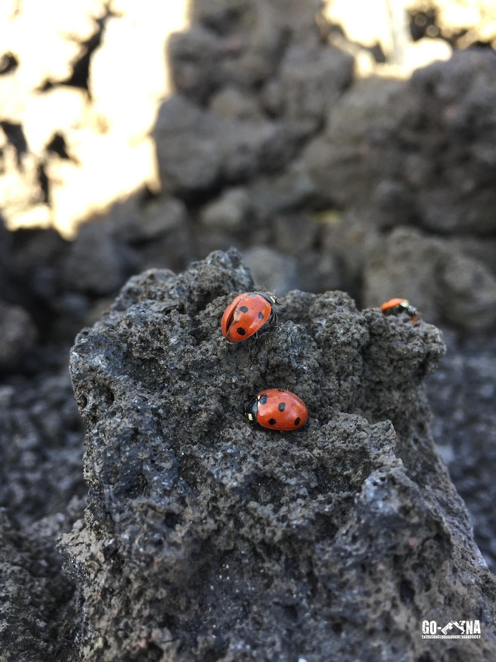 Etna Excursion