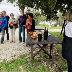 Sicily Wine Tour