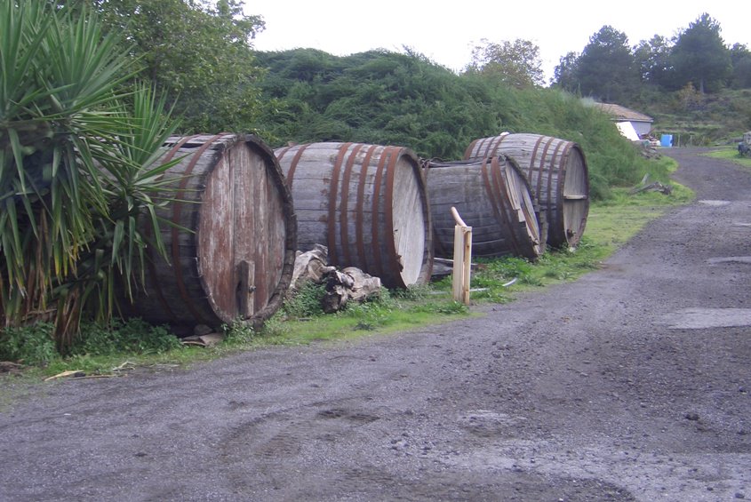 Sicily Wineries