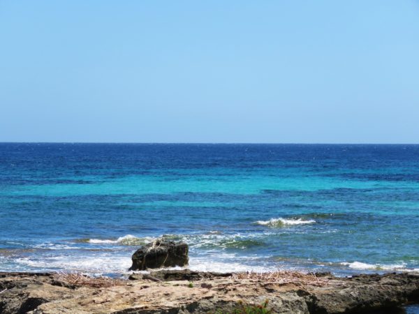 trapani egadi (2)