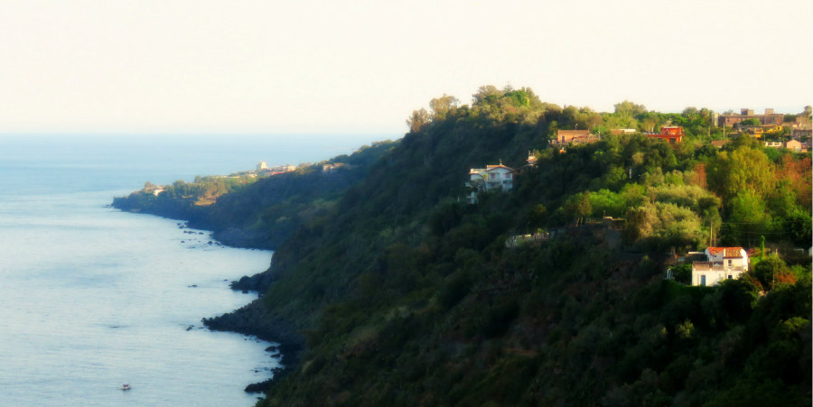 Acireale trunzu cabbage