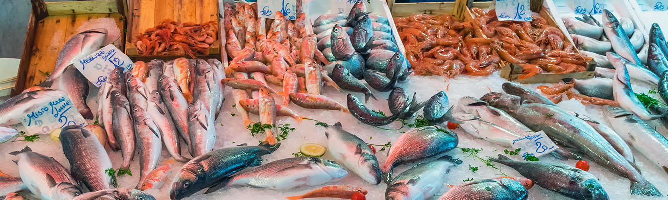 Catania Food Tour Fish Market