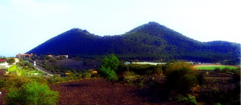 nicolosi 2