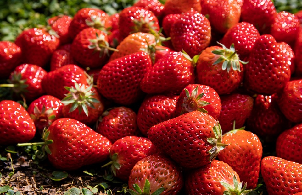 maletto strawberry