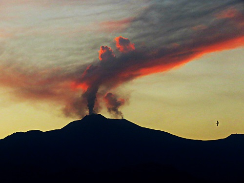 da etna a siracusa (2)