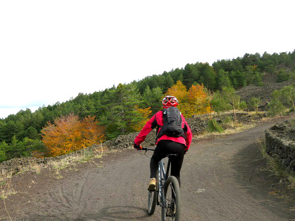 etna 1 bike