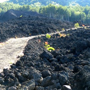 Mount Etna’s lava, a unique rock