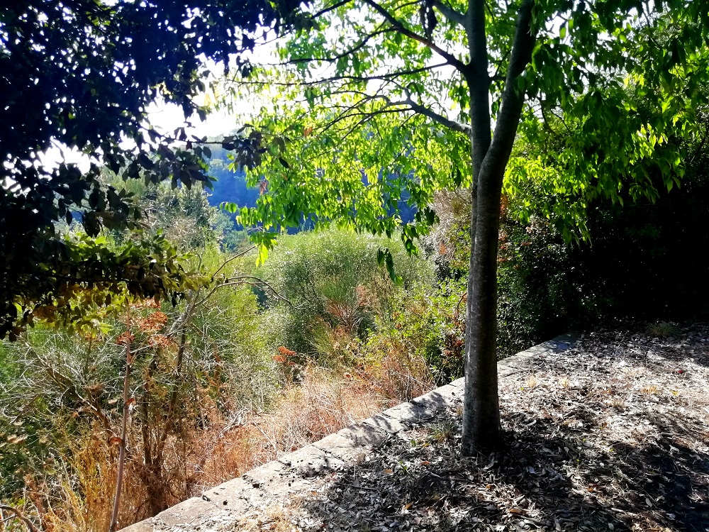 parco mt ceraulo_ (1)
