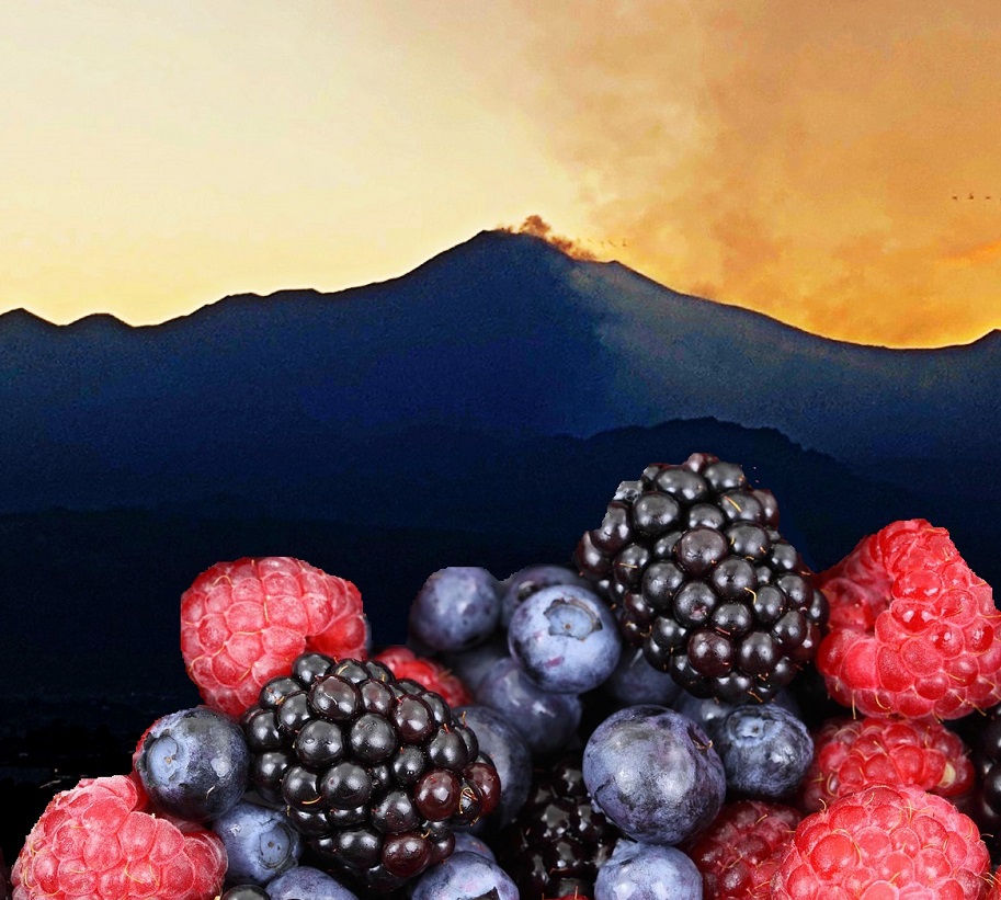 etna berries top