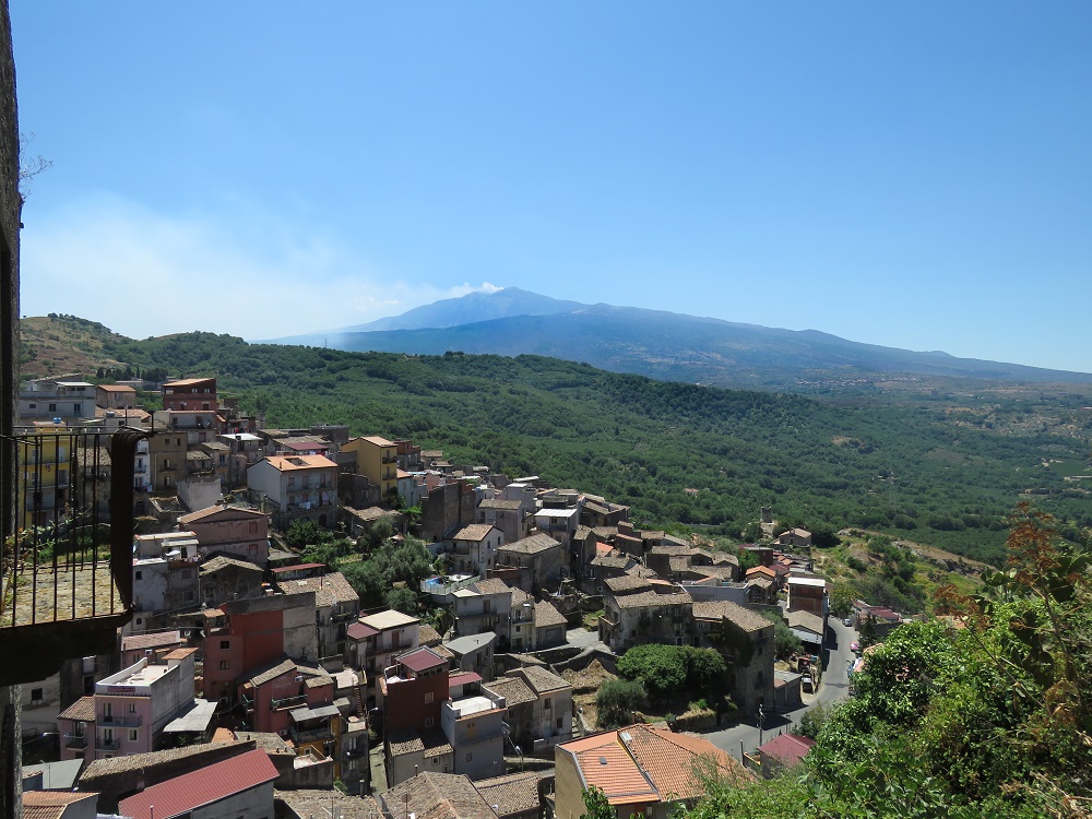 solicchiata and wines