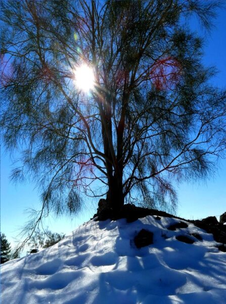 winter trek etna 2