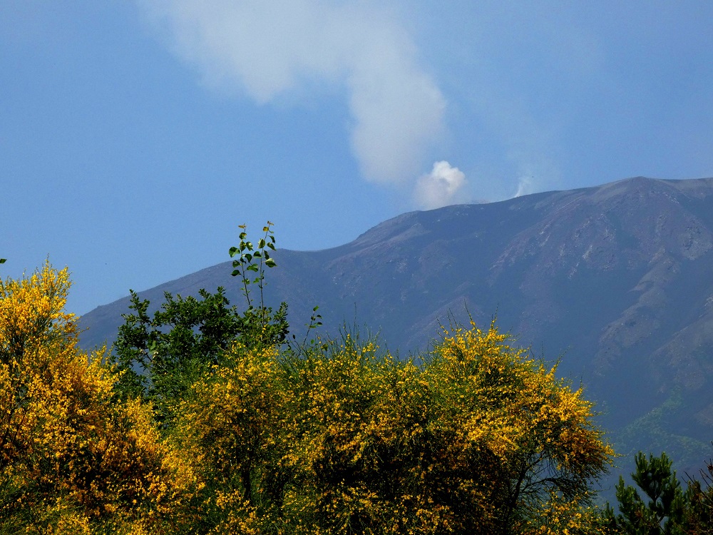 summer places ETNA_ TOP