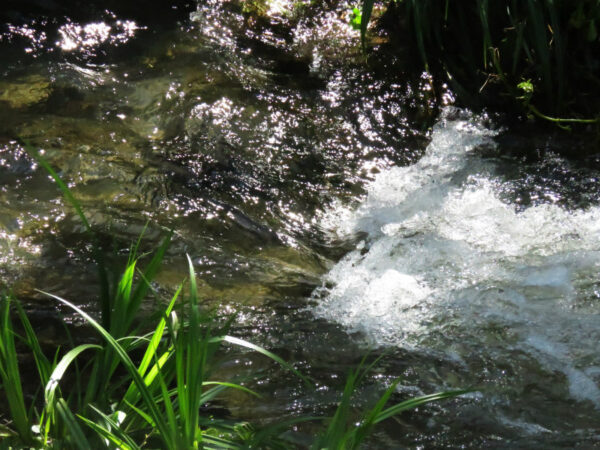 valley of the muses 2