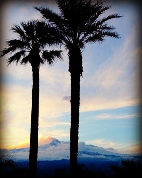easter picnic ETNA 2