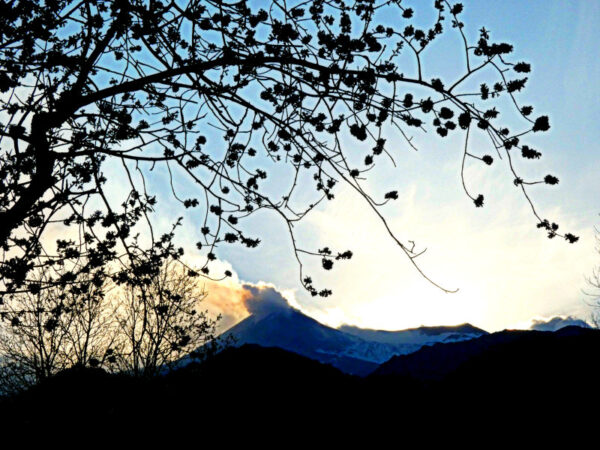 pietra cannone place2