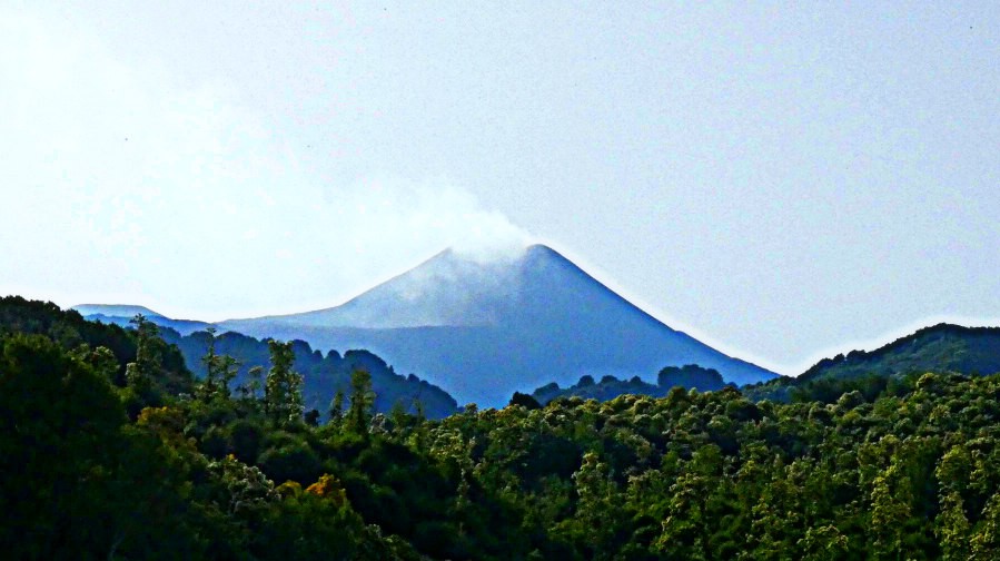 P1020233